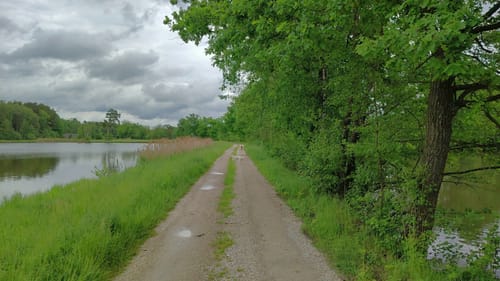Charlottenhofer Weihergebiet ab Fronberg