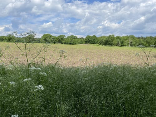 Rund um dem Stocksee