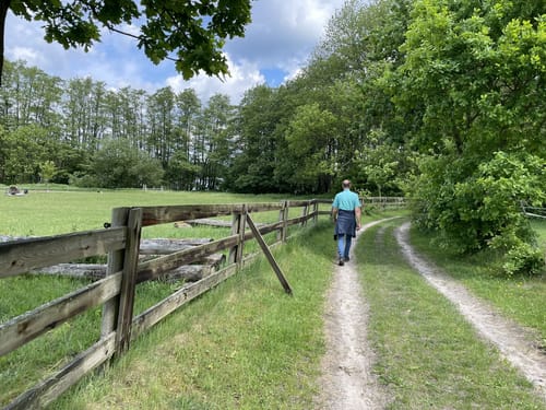 Rund um dem Stocksee