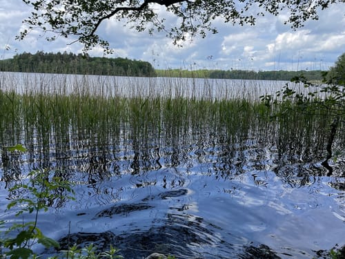 Rund um dem Stocksee