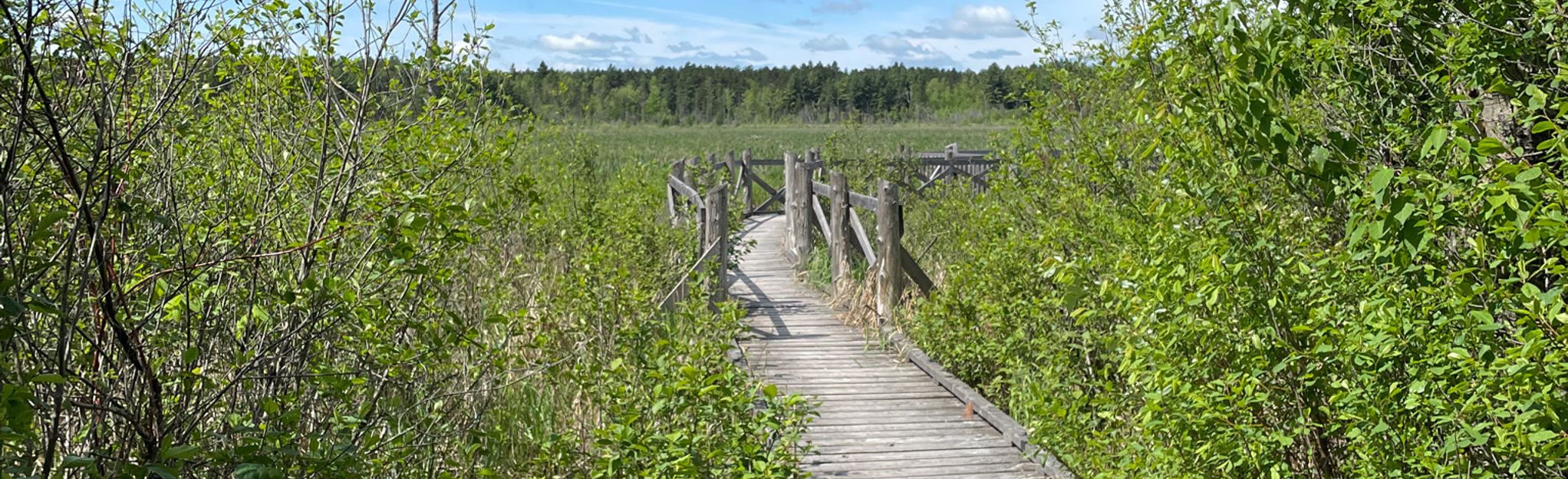 Chalet CrossCountry Ski Map, Guide Ontario, Canada AllTrails