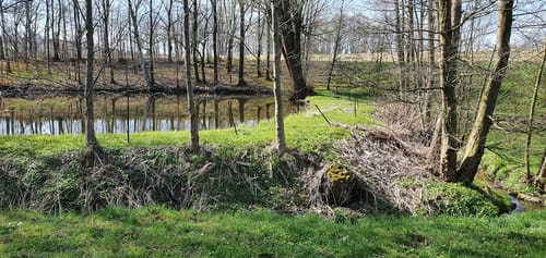Stolpen - Rennersdorf