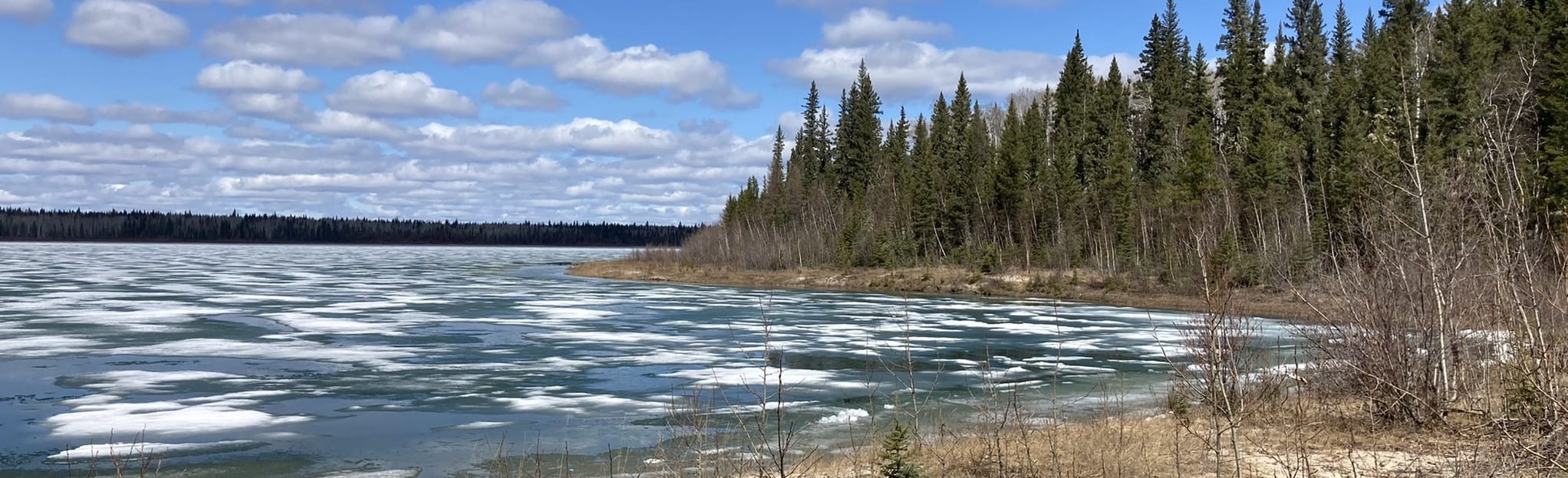 Pine Lake to Lane Lakes 3 Reviews, Map Alberta, Canada AllTrails