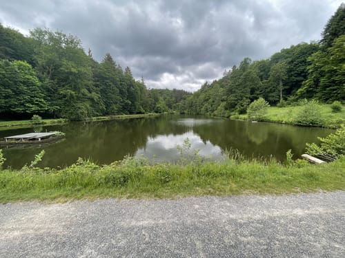 Rund um den Kurpark Bad Schwalbach