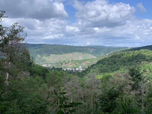 Marienberg (Premiumwanderweg)