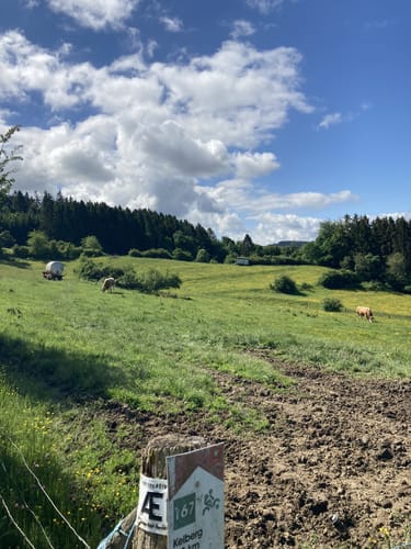 Kelberger Episoden