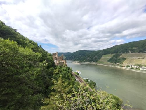 Morgenbachtal Rundweg ab Burg Rheinstein