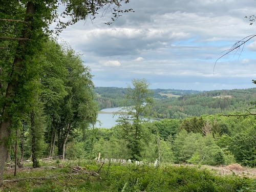 Auf zur Wiehltalsperre (A1)