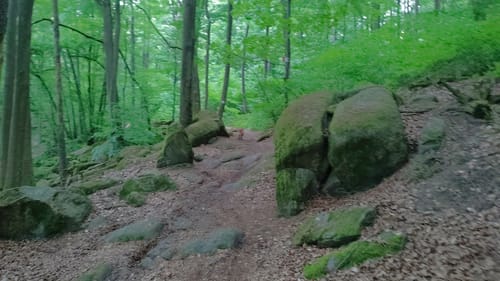 Hirschling - Katzheim - Regental
