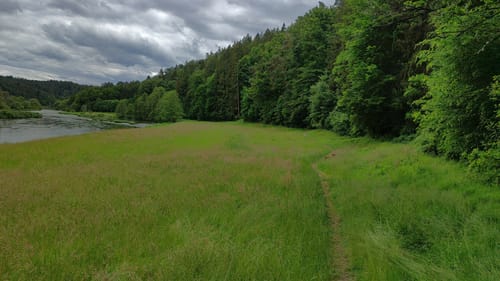 Hirschling - Katzheim - Regental
