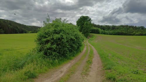 Hirschling - Katzheim - Regental