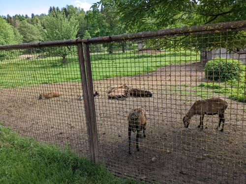 Hebertshausen, Sietenbachs und Schillhofen