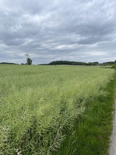 Kettwig und Wälder bei Hugenpoet und Landsberg