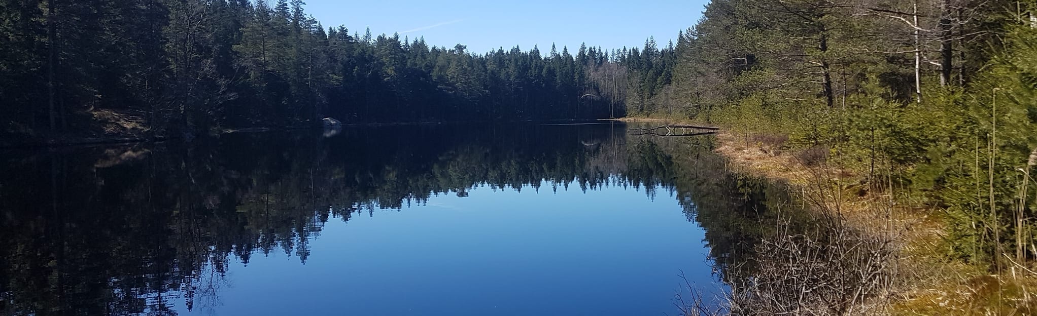 Vildmarksspåret, Västra Götaland, Sweden - 48 Reviews, Map | AllTrails