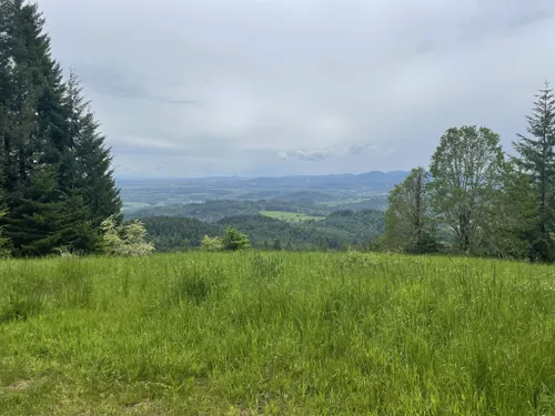 THE 15 BEST Things to Do in Corvallis - 2024 (with Photos) - Tripadvisor