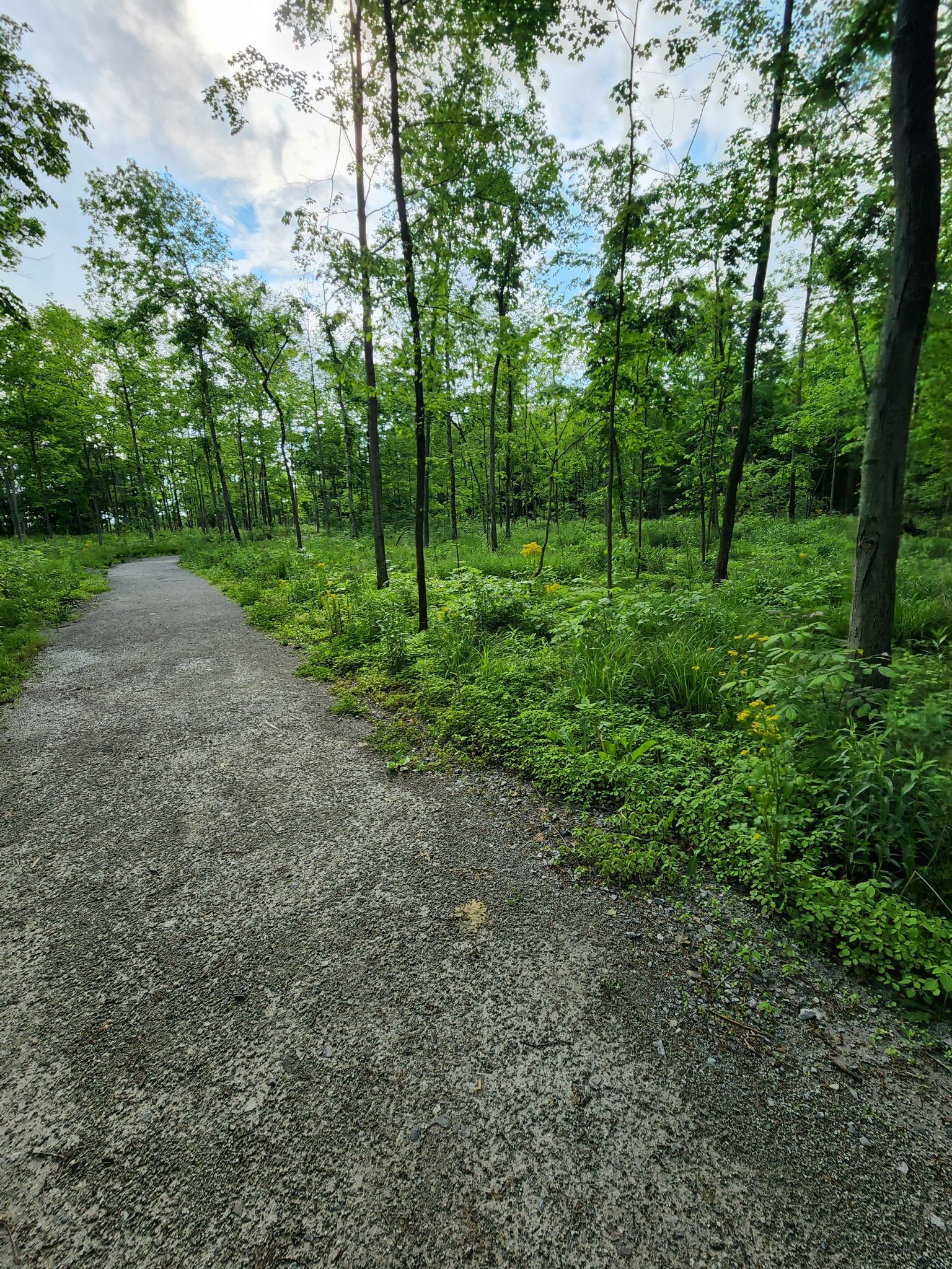 Photos of Lima, Ohio views trails | AllTrails