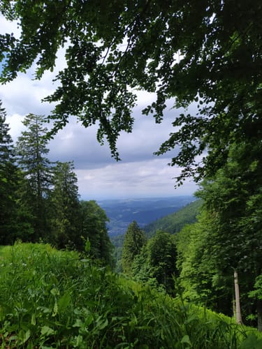Kandelrasthaus - Großer Kandelfelsen