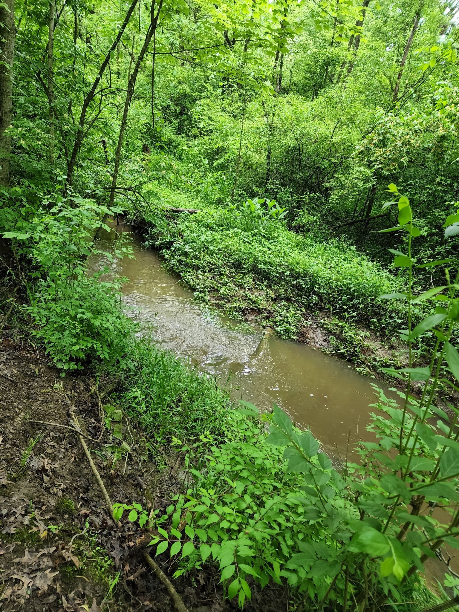 Photos of Lima, Ohio lake trails | AllTrails