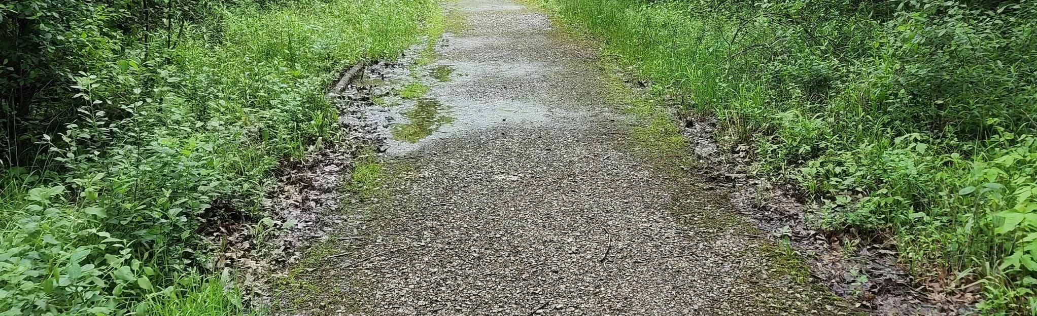 Rotary Riverwalk and Heritage Park Loop 30 Reviews, Map Ohio AllTrails