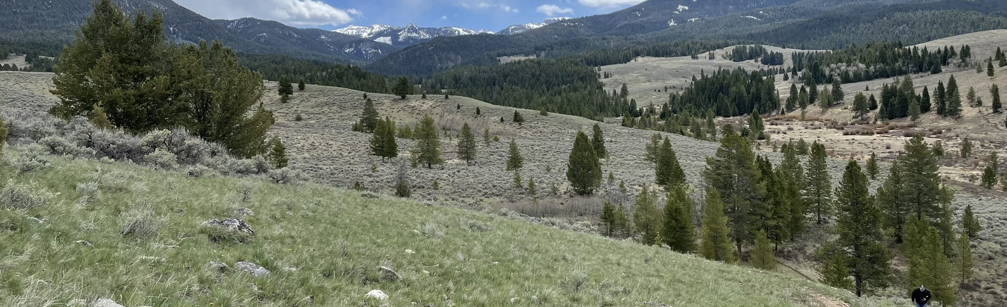 Porcupine Creek, Montana 287 Reviews, Map AllTrails