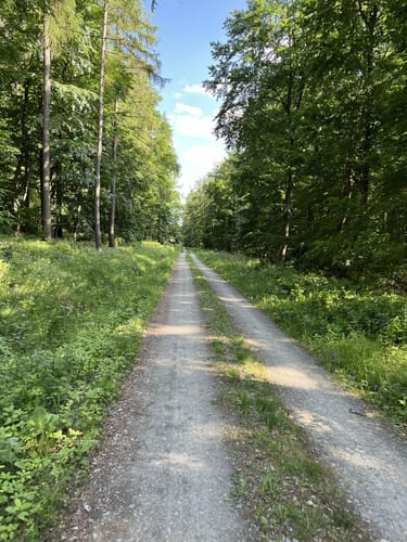 Rund um Lohfelden und Wellerode