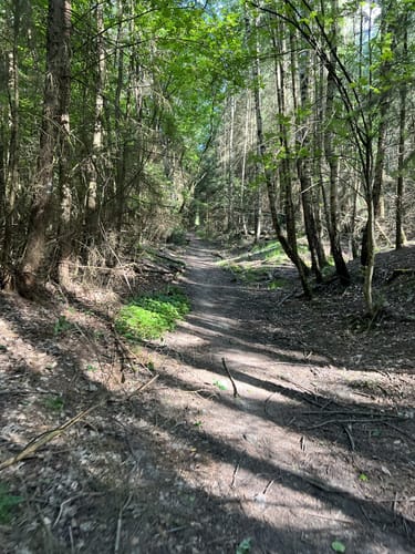Rund um Lohfelden und Wellerode