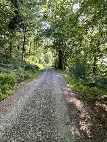 Rund um Lohfelden und Wellerode