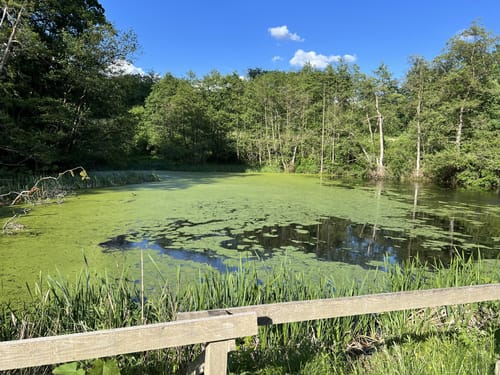 Rund um Lohfelden und Wellerode