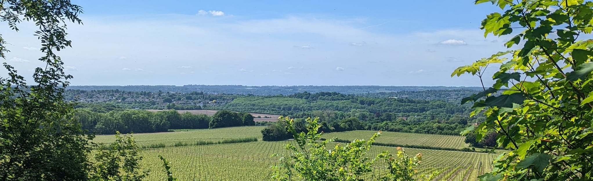 Boxley, Abbey Gate, Pollyfield and Boxley Grange Circular - Kent ...