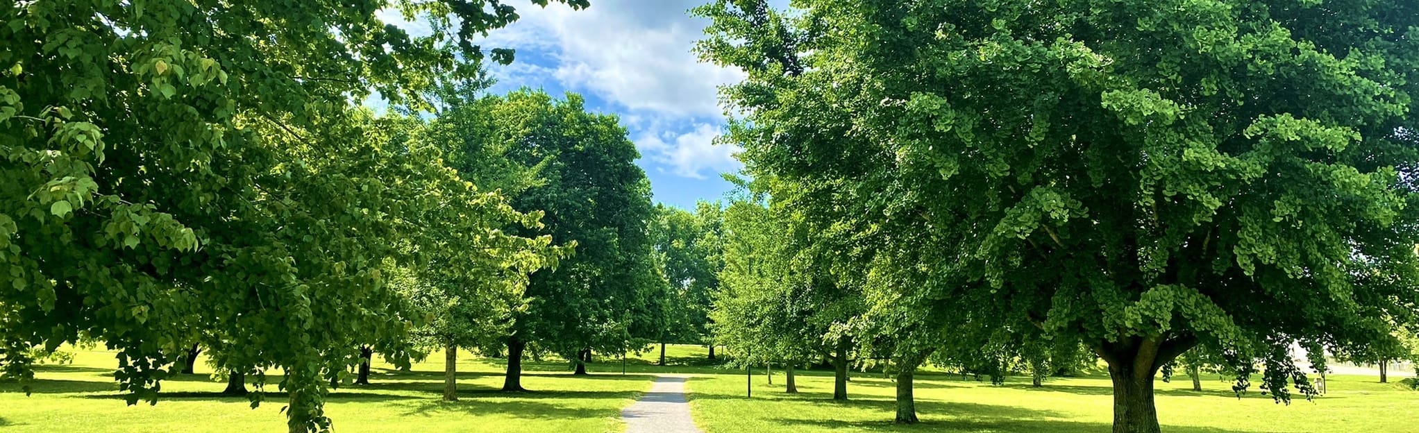 A K Bissell Park Loop, Tennessee 24 Reviews, Map AllTrails