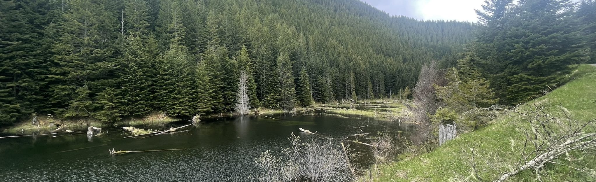 Bon Jon Pass Road, Washington 88 Reviews, Map AllTrails