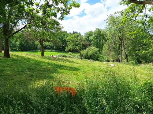 Von Schee/Quellenburg über Obersprockhövel