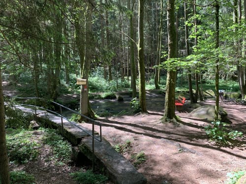 Burgenweg Oberpfalz Etappe 5: Oberhöll - Leuchtenberg