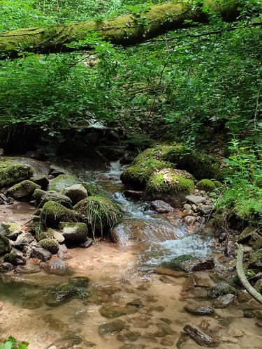 Zur Höllschlucht ab Hofen