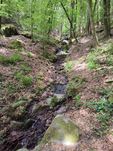 Zur Höllschlucht ab Hofen