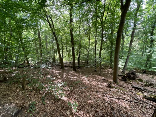 Zwei-Seen-Weg - Große Runde