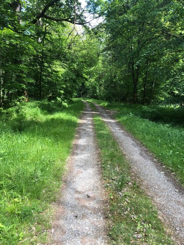 Nettersheim Feuchtgebiete Tour