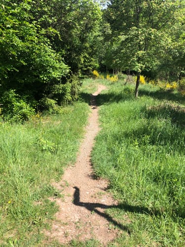 Nettersheim Feuchtgebiete Tour
