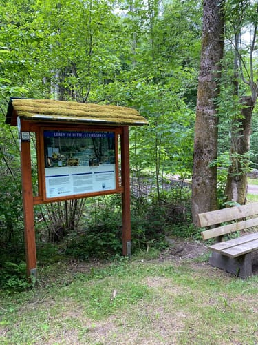RuT5 – Zur Kinderstube der Libellen