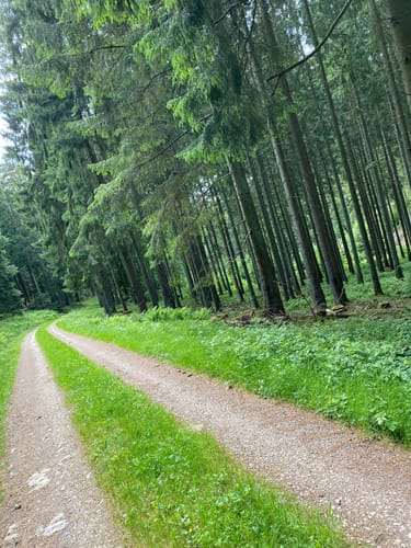 RuT5 – Zur Kinderstube der Libellen