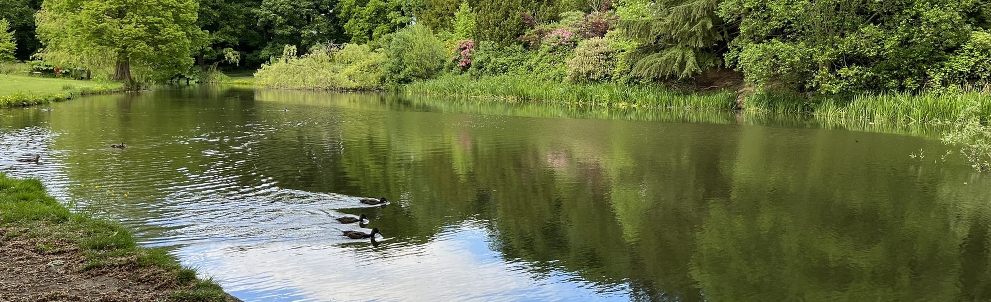 Temple Newsam Golf Course and East Lawn Circular 113 foto's West