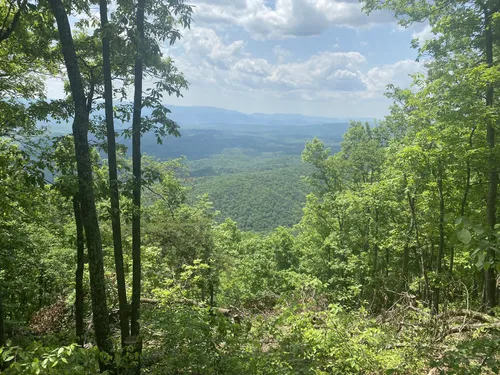 Douthat state discount park mountain biking