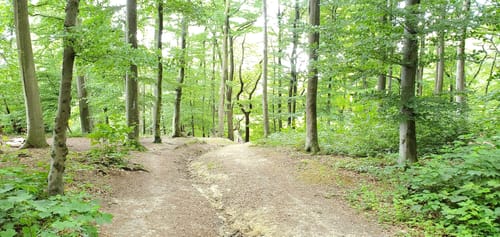 Schwerter Wald Schwarze Südstrecke