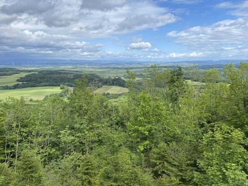 Von der Schillerwiese zu Burgruine Plesse