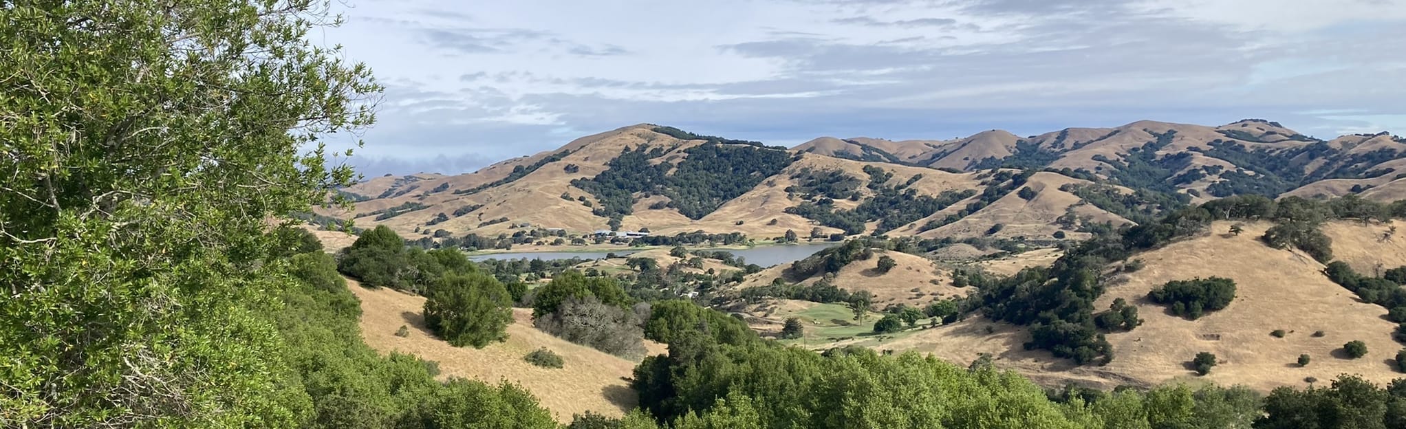 Big Trees and Upper Meadow Trail Loop California AllTrails