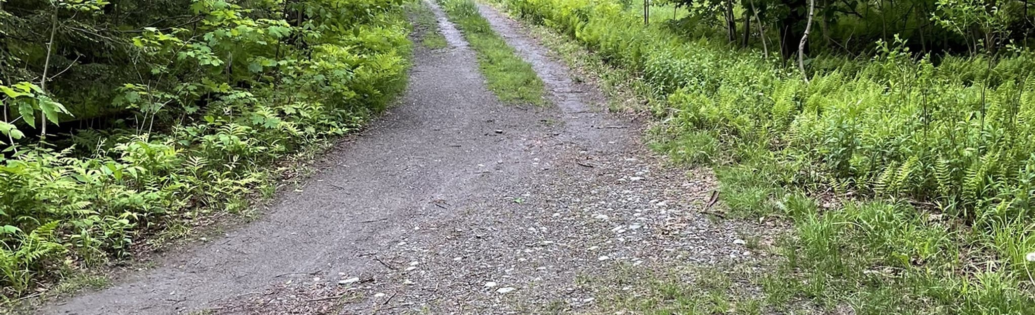 Kiln, Snowshoe, and Goatherd's Quest Trail Loop, Massachusetts 26