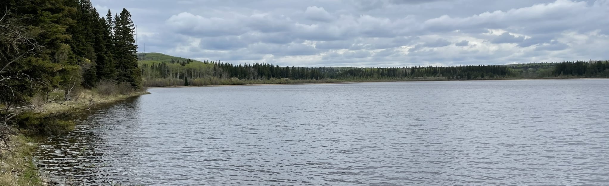 Shady Lake 63 Reviews, Map Saskatchewan, Canada AllTrails