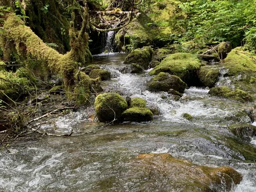 10 Best Hikes and Trails in Boulder River Wilderness AllTrails