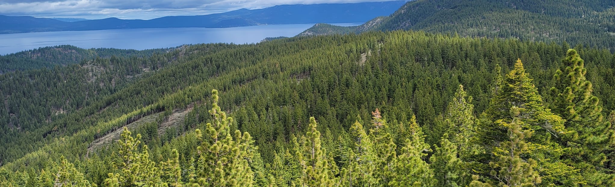 Captain Pomin Rock Trail 113 Reviews, Map Nevada AllTrails