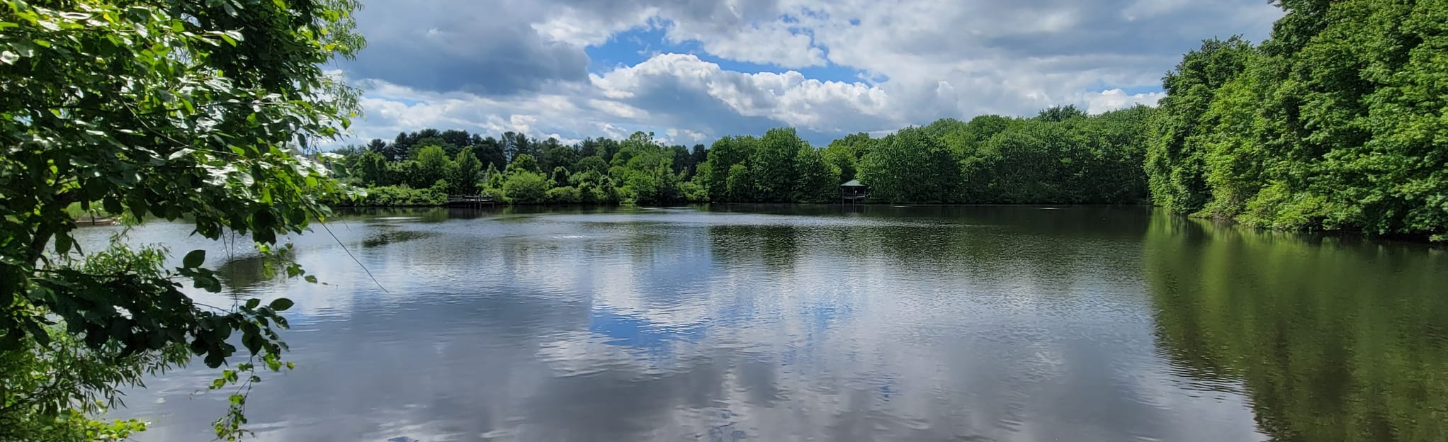 Warfield Pond Trail 29 Reviews, Map Maryland AllTrails